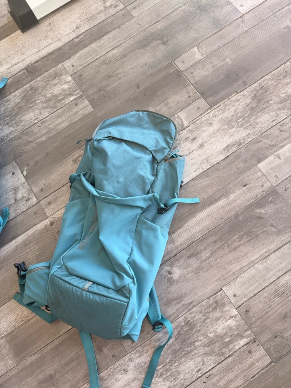 Patagonia Light Teal Backpack Daypack